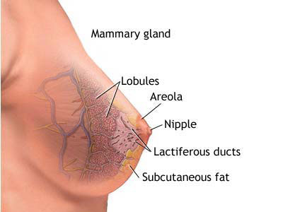 乳腺癌患者都適用瑞寧得嗎
