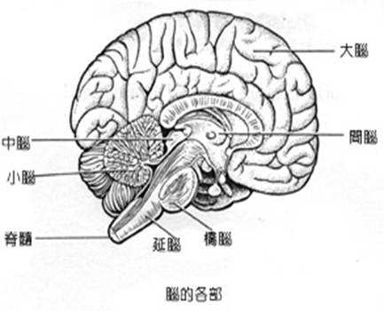 如何診斷原發性CNS淋巴瘤