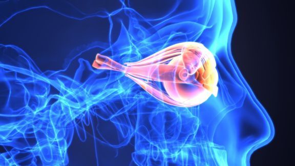 視神經脊髓炎譜系障礙（NMOSD）創新藥Enspryng（satralizumab）獲美FDA批準_香港濟民藥業