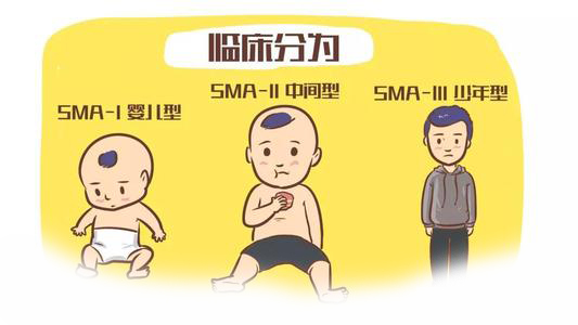 Evrysdi (risdiplam) 治療2-7個月兒童脊髓性肌萎縮研究試驗獲積極結果！_香港濟民藥業