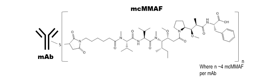 Blenrep說明書-價格-功效與作用-副作用_香港濟民藥業
