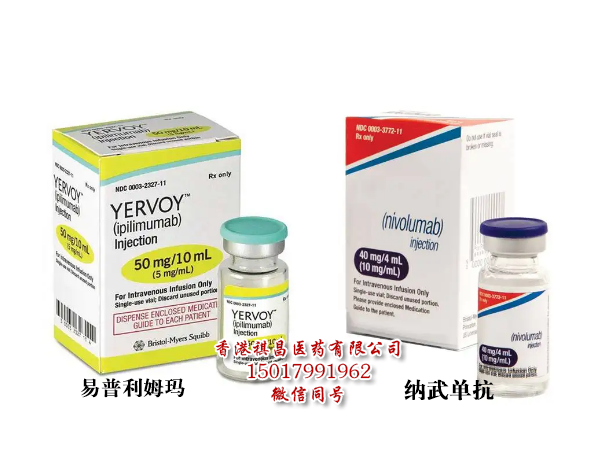 納武利尤單抗Opdivo(nivolumab) 與 Ipilimumab